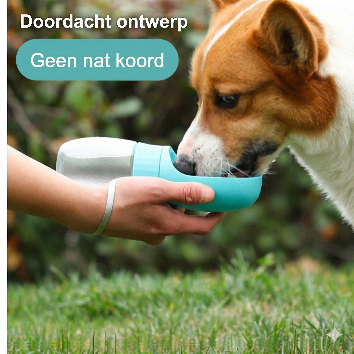 Gourde pour chien anti-fuite : fini les chiens assoiffés en déplacement